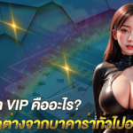 บาคาร่า VIP คืออะไร_ และแตกต่างจากบาคาร่าทั่วไปอย่างไร